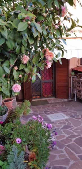 Гостиница B&B Vista su Roma  Марко Симоне